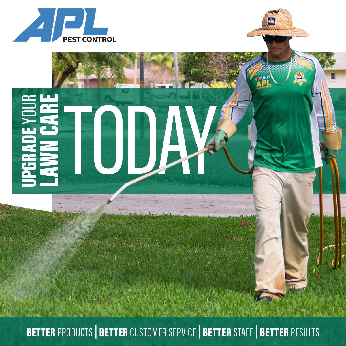 How to Control Dollar Weed in St Augustine Turf Grass Lawn